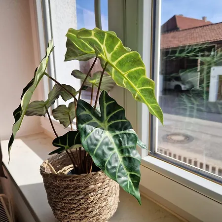 Isar Διαμέρισμα Altdorf (Lower Bavaria)